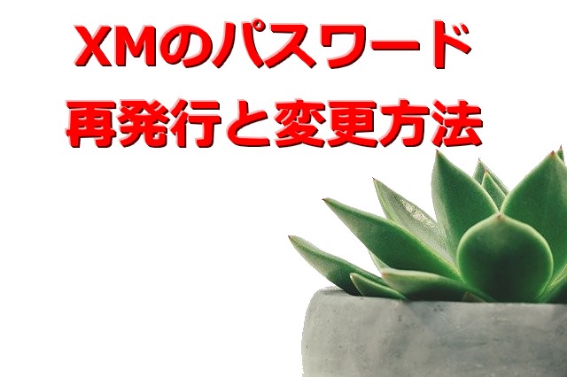 XMのパスワード 再発行と変更方法
